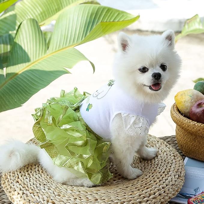Cute Pet Frilly Dress for Dogs and Cats - Spring and Summer Fruit-Themed Party Gown for Small, Medium, and Large Breeds