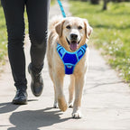 BARKBAY No Pull Dog Harness Large Reflective Dog Harness with Front Clip and Easy Control Handle for Walking Training Running with ID tag Pocket(Sapphire Blue & Blue,L)