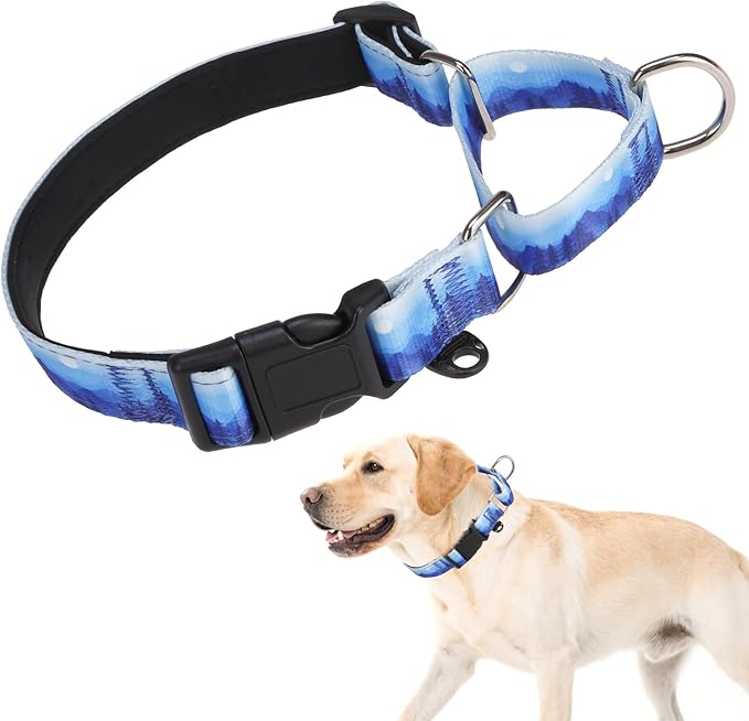 KOOLTAIL Martingale Collar for Dogs for Small Medium Large Dogs, Soft Padded Nylon No Pull Dog Collar with Buckle, Adjustable No Slip Heavy Duty Durable Puppy Training Collar for Boys Girls, Blue M
