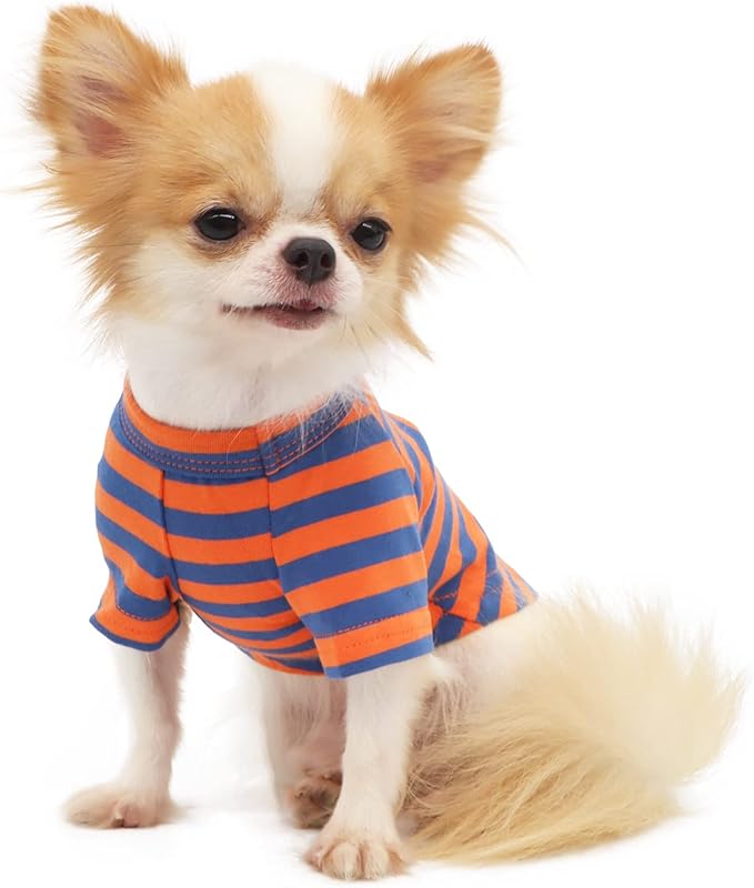 LOPHIPETS 100% Breathable Cotton Striped Dog Tee Shirt T-Shirt for Small Dogs Chihuahua Puppy Clothes -Orange and Blue Strips/M