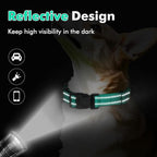 Martingale Collar for Dogs with Quick Release Buckle, Reflective Soft Padded & Escape Proof, Adjustable Nylon Dog Collars for Training & Daily Walking (Turquoise,L)