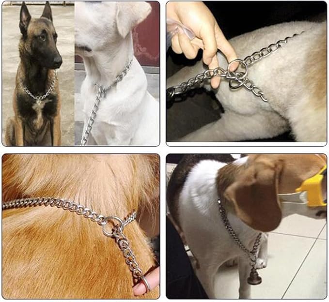 Silver Choke Chain for Dogs, 2Pack Heavy Duty Training Choker Collar for Dogs Metal Slip P Link Martingale Collars Puppy Chain for XXS XS Small Medium Large Dog, XL