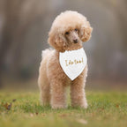 Dog Wedding Engagement Bandana Apparel & Accessories Pet Bandana Scarf Photo Prop I Do Too! Wedding Outfit Funny Engagement Party Decorations Gifts