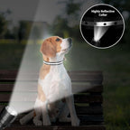 PaiPaitek Dog Shock Collar Replacement Strap 2-Pack - Compatible with Jugbow, Garmin, Patpet | 3/4 Inch Adjustable TPU Collar for Dogs | Waterproof & Reflective Design for Training, Walking