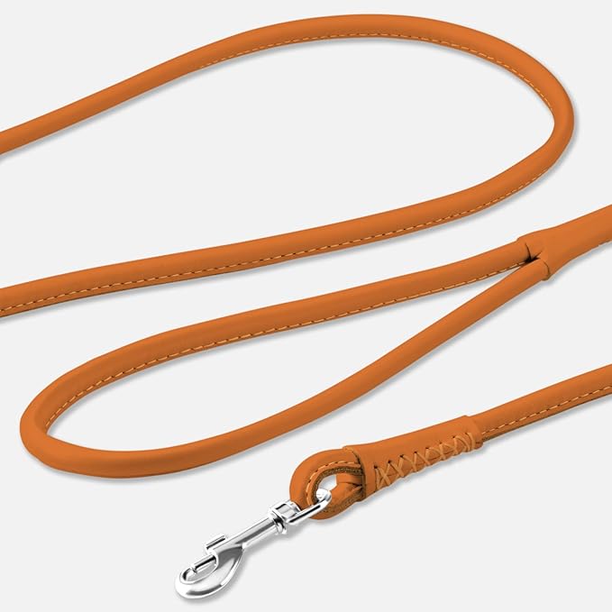 CollarDirect Rolled Leather Dog Leash 6ft, Soft Training Leather Dog Leash for Puppy and Grown Dog Small Medium Large Black Blue Red Orange Green Pink White (Orange, Size S 6ft)