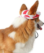 Round Brim Princess Hat Visor Hat Pet Dog Mesh Porous Sun Hat with Ear Holes for, Extra Dog Teddy, Pug, Chihuahua, Shih Tzu, Yorkshire Terriers, Papillon Z-2-red+White Medium