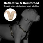 Plutus Pet Adjustable No Pull Dog Harness with Leather Accents, Heavy Duty Reflective Nylon Vest for Training, Hiking, Easy Walk Harness for Small, Medium, Large Dogs (Beige, XL)