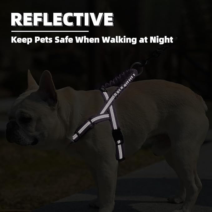 PUPTECK No Pull Dog Harness Small Sized Dog, Adjustable Reflective Pet Vest Harness with Bungee Handle, Escape Proof No Choke Harness for Small Dogs Walking Training, Purple M