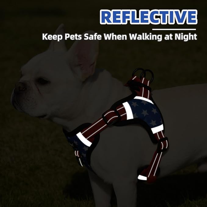 PUPTECK No Pull Dog Harness Small Sized Dog, Adjustable Reflective Escape Proof Easy Control, Comfortable Soft Padded Step in Pet Vest Harness, Blue Stars, S