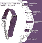 Martingale Collar for Dogs No-Pull Adjustable Training Collar with Stainless Steel Chain - Genuine Leather Anti-Slip Design for Small,Medium,Large Breed Dogs - Purple (M)