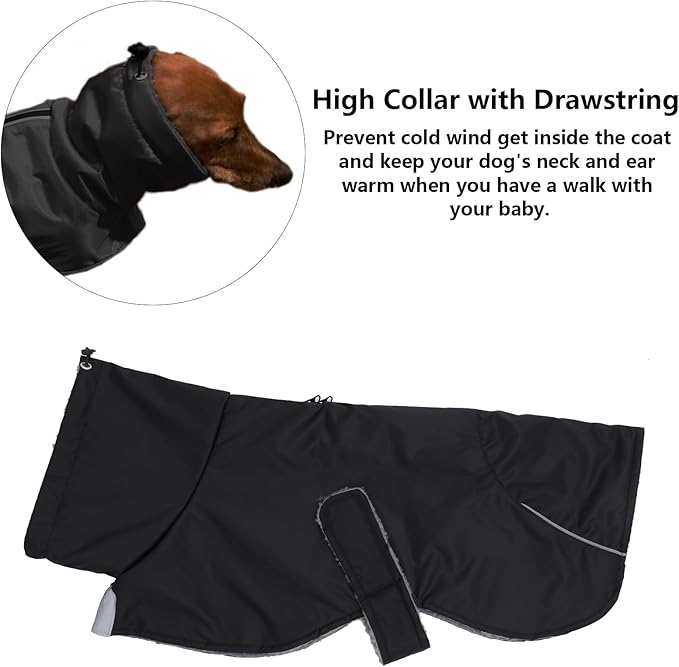 Dachshund Coats Waterproof, Perfect for Dachshunds, Sausage, Weiner Dog Winter Coat with Padded Fleece, Puppy Snowsuit with Adjustable Bands and High Vis Reflective Trim - Black - L