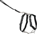 PetSafe 3-in-1 Harness - Comfortable Easy-Walk Dog Chest Harness with Front Leash Attachment to Reduce Pulling, Choking & Gagging - Dog Obedience Gear - Medium - Black