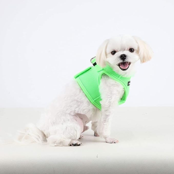 Puppia Neon Soft Vest Harness Step-in No Choke No Pull Walking Training for Small and Medium Dog, Green, Large