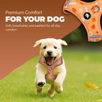 Haminway No-Pull Dog Harness for Medium Dogs – Reflective, Breathable Vest with Adjustable Chest & Neck Straps – Easy to Wear, Anti-Choke Harness for Safer Walks (Orange, Size Medium)