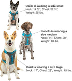 Kurgo Journey Air Dog Harness - Secure Fit for Active Dogs - Padded Chest - Lightweight Ripstop Fabric - Breathable Mesh - Reflective Trim - Back Assist Handle - Coral - X-Large