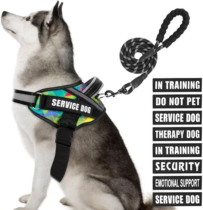 Service Dog Vest Harness and Leash Set, Animire in Training Dog Harness with 10 Dog Patches, Reflective Dog Leash with Soft Handle for Small, Medium, Large, and Extra-Large Dogs (Multi-Colored,XL)
