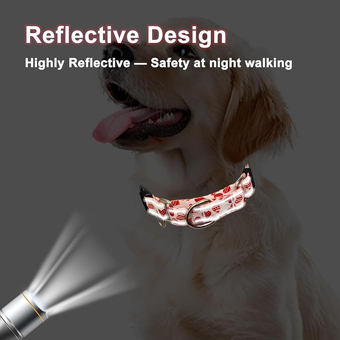 Valentines Reflective Martingale Collar for Dogs with Quick Release Buckle Cute Girl No Pull Dog Collars (Red Heart, XSmall)