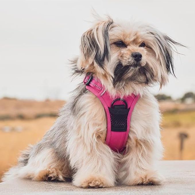Voyager Dog Harness Dual Leash Attachment No-Pull Control Adjustable Soft but Strong Pet Harness for Medium and Large Dogs with 3M Reflective Technology, Fuchsia Nylon, XS (Chest: 13-16")