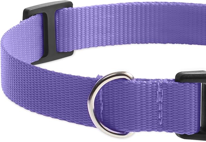 Shock Collar Replacement Strap, Stylish & Comfortable Nylon Dog Collar with Quick Release Buckle, Adjustable Dog Collar Compatible with PetSafe Bousnic Sportdog Garmin Ecollar (Purple & Yellow)