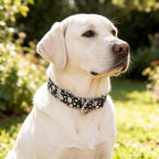 Black Martingale Collars for Dogs, Daisy Print No-Slip Escape Proof Choke No Pull Soft Nylon Training Dog Collars for Small Medium Large Breed Pet Dogs, L