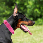 Tactical Dog Collar with Heavy Duty Metal Buckle and Control Handle for Medium Large Dogs Training(Pink, Large)