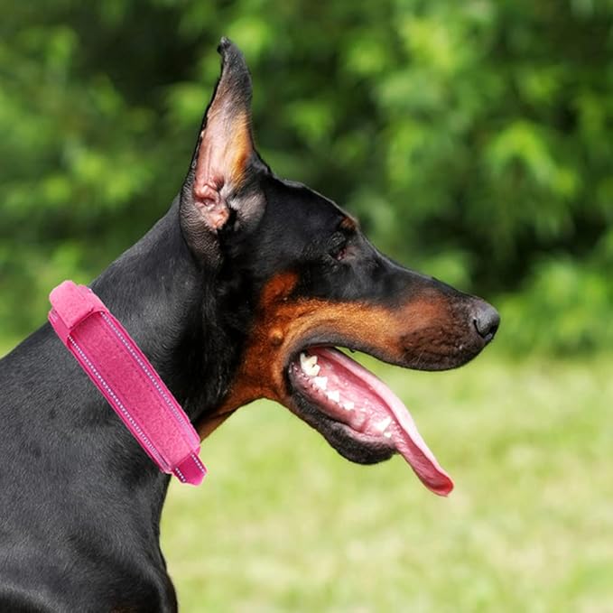 Tactical Dog Collar with Heavy Duty Metal Buckle and Control Handle for Medium Large Dogs Training(Pink, Large)