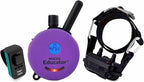 Micro Educator ME-300 Dog Training E-Collar with Remote–Double Bungee Collar for Small Dogs 5–15" Neck – Lightweight,Waterproof & Rechargeable–100 Levels Tapping Stimulation,1/3 Mile Range, Purple
