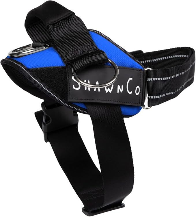 ShawnCo Essential Pro Dog Harness, No-Pull Pet Vest with 3 Leash Clips and Removable, Reflective Side Patches, Adjustable and Padded Harness for Small, Medium and Large Dogs (Electric Blue, M)
