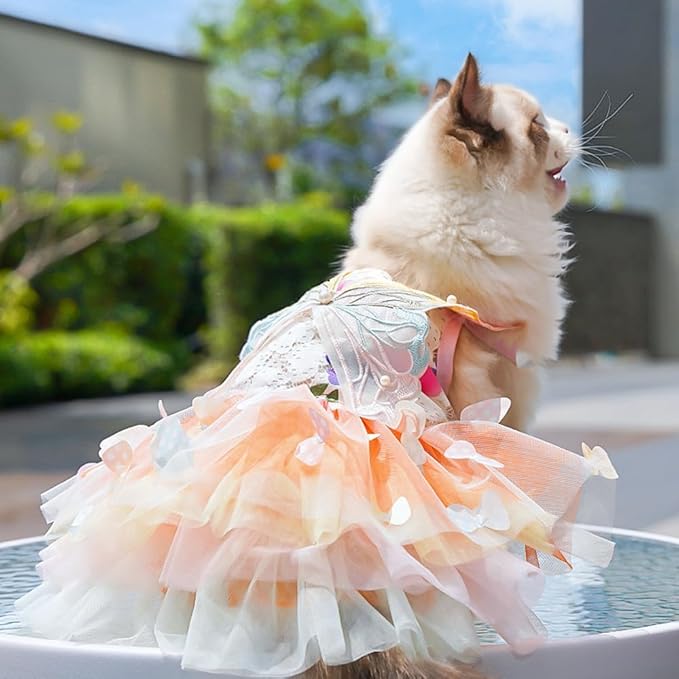 Dog Princess Dress,Summer Thin Cat Rainbow Butterfly Pettiskirt Cute Pet Clothes Chihuahua Teddy Dress Pet Supplies (XS)