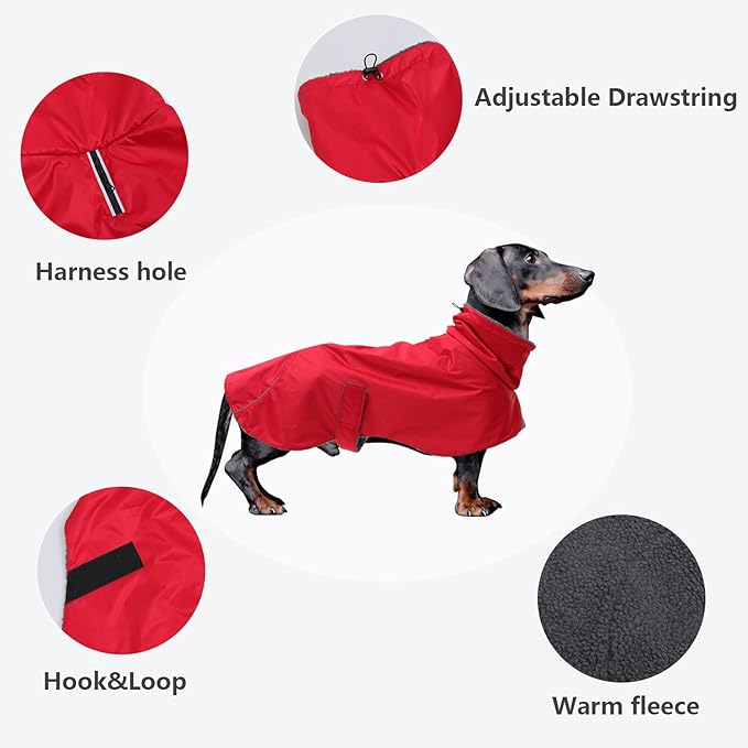 Dachshund Coats Waterproof, Perfect for Dachshunds, Sausage, Weiner Dog Winter Coat with Padded Fleece, Puppy Snowsuit with Adjustable Bands and High Vis Reflective Trim - Red - L