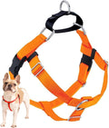 2 Hounds Design Freedom No Pull Dog Harness, Adjustable Harness, Easy Walking & Comfortable Control, Fits Small, Medium & Large Dogs, Solid Colors, Made in USA, 1" XL, Neon Organge