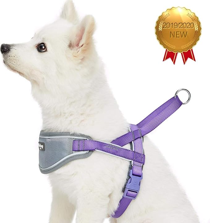 Blueberry Pet 8 Colors Soft & Comfy 3M Reflective Strips Padded Dog Harness Vest, Chest Girth 30" - 38.5", Purple, Large, Nylon Adjustable Training Harnesses for Dogs
