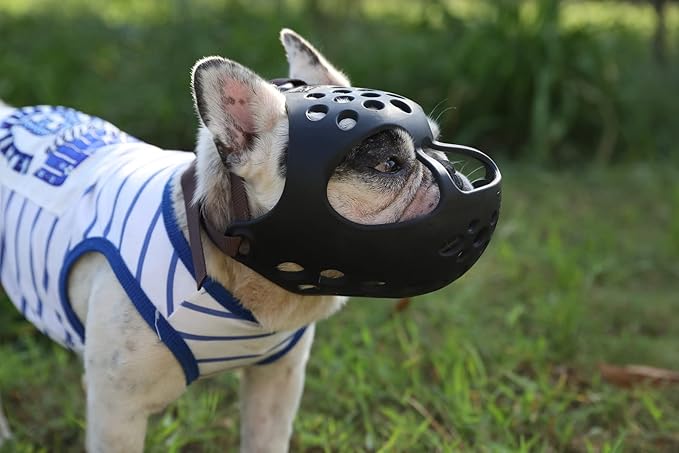 Short Snout Dog Muzzles,Soft Silicone Adjustable Breathable Bulldog Muzzle for Biting Chewing Barking Training,Ideal for Flat-Faced Dogs (Black, X-Large/17-21" (Pack of 1))