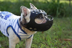 Short Snout Dog Muzzles,Soft Silicone Adjustable Breathable Bulldog Muzzle for Biting Chewing Barking Training,Ideal for Flat-Faced Dogs (Black, Small/10-13"(Pack of 1))
