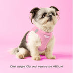Downtown Pet Supply Step in Dog Harness for Small Dogs - Adjustable, Escape Proof Dog Harness with Reflective Trim - All-Weather, Fast-Drying Padded Mesh Fabric - Baby Pink, XS