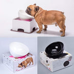 Bulldog Bowl Ceramic Dog Food Bowl - Cat Dish Wide Mouth Dog Bowl Pet Sterile Tilted Pet Feeder with Anti-Skid Rubber Mat (White M/1.5 Cup)