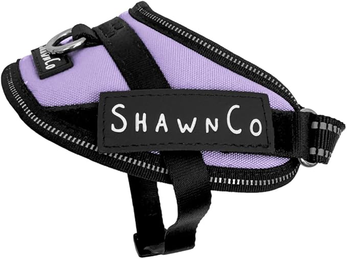 ShawnCo Essential Pro Dog Harness, No-Pull Pet Vest with 3 Leash Clips and Removable, Reflective Side Patches, Adjustable and Padded Harness for Small, Medium and Large Dogs (ICY Lilac, XS)