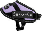 ShawnCo Essential Pro Dog Harness, No-Pull Pet Vest with 3 Leash Clips and Removable, Reflective Side Patches, Adjustable and Padded Harness for Small, Medium and Large Dogs (ICY Lilac, XS)