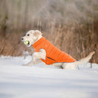 Lelepet Reversible Dog Coat Waterproof Dog Jacket Windproof Puffer Vest for Winter Warm Lightweight Coats for Small Dogs Adjustbale Hook & Loop Pet Apparel with Leash Hole, Chihuahua, Orange, XS
