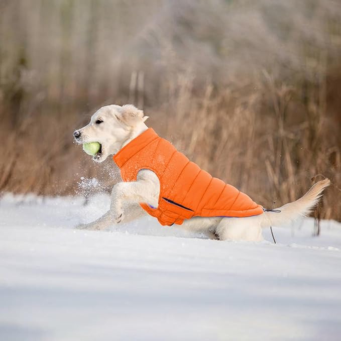 Lelepet Reversible Dog Coat Waterproof Dog Jacket Windproof Puffer Vest for Winter Warm Lightweight Coats for Medium Dogs Adjustbale Hook & Loop Pet Apparel with Leash Hole, French Bulldog, Orange, L