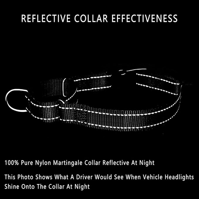 Plutus Pet Reflective Martingale Collar with Buckle - Durable and Adjustable Training Collar for No Pulling, Dog Choker Collar for Small Medium Large Dogs, Gray, M