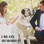 AVERYDAY Dog Tuxedo for Wedding Outfit, Dog Suit and Tie Costumes for Birthday, Halloween, Cosplay, Christmas Party, Pet Formal Wear with Bowtie, Tux for Medium Large Dogs, Bulldog, Labrador, Husky