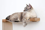 Catastrophic Creations Play Cat Condo— Cat Tree Wall Mounted—Cat Wall Bridge — Lounge and Play Furniture — Cat Wall Furniture Set— Cat Climbing Shelves—Wall Mounted Cat Furniture