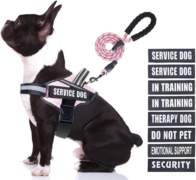 Service Dog Vest Harness and Leash Set, Animire in Training Dog Harness with 10 Dog Patches, Reflective Dog Leash with Soft Padded Handle for Small, Medium, Large, and Extra-Large Dogs(Pink,M)