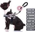 Service Dog Vest Harness and Leash Set, Animire in Training Dog Harness with 10 Dog Patches, Reflective Dog Leash with Soft Padded Handle for Small, Medium, Large, and Extra-Large Dogs(Pink,M)