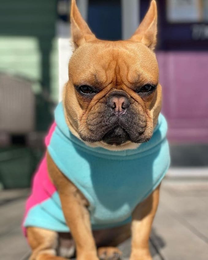Gooby Half Stretch Fleece Vest Dog Sweater - Pink, X-Large - Warm Pullover Fleece Dog Jacket with D-Ring Leash for Small to Medium Dogs