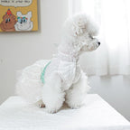 Fashion Sweet Puppy Dog Blingbling Princess Skirt Pet Dog Lace Cake Camisole Tutu Dress C-Green S