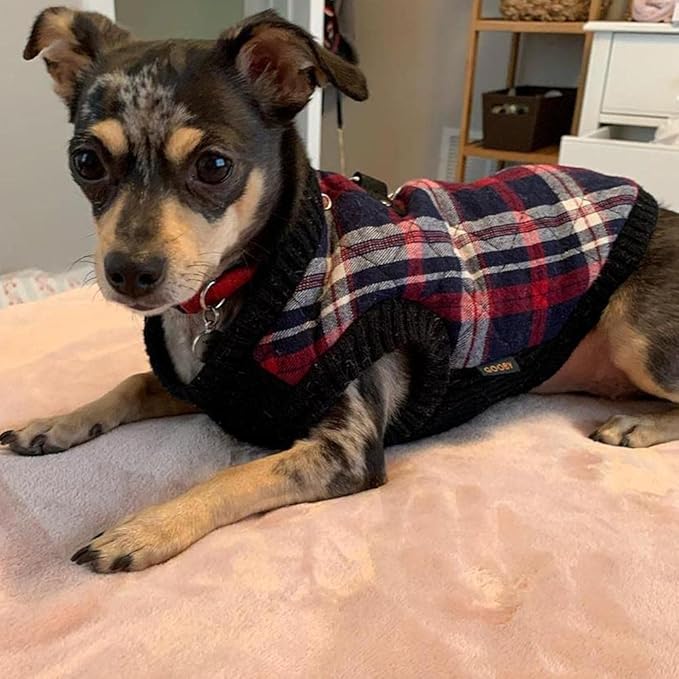 Gooby Fashion Vest Check Dog Jacket - White Check, Medium - Warm Zip Up Bomber Vest Dual D Ring Leash - Winter Water Resistant Sweater - Clothes for Small or Medium Dogs Dogs