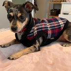 Gooby Fashion Vest Check Dog Jacket - White Check, Medium - Warm Zip Up Bomber Vest Dual D Ring Leash - Winter Water Resistant Sweater - Clothes for Small or Medium Dogs Dogs