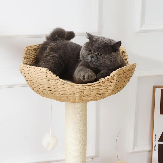SHENGOCASE 18" Large Cat Tower Tree Add ons Accessories Replacement Part Basket Bed, Handwoven Wicker Rattan Nest Bowl with Soft Cushion